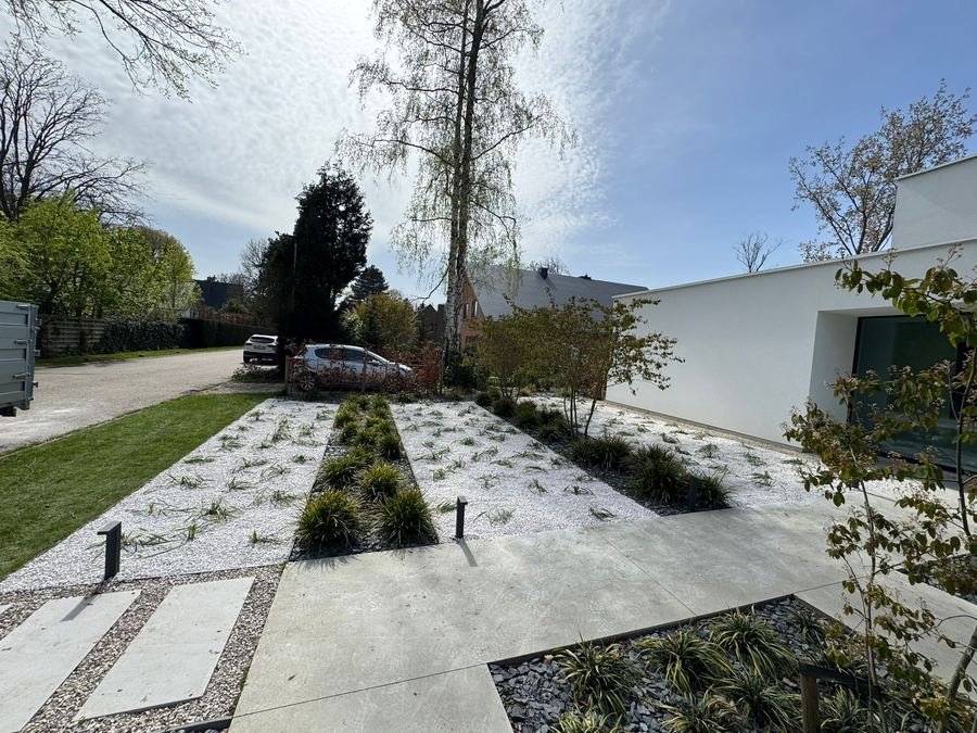 Moderne siertuin met grind en sierplanten